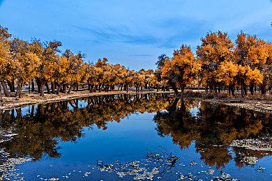 《R-Type Final 2》BOSS遭阉割 只因形状太像生殖器